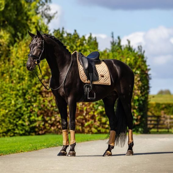 Podsedlová dečka Equestrian Stockholm Modern Midsummer Glow Kolekce 2026