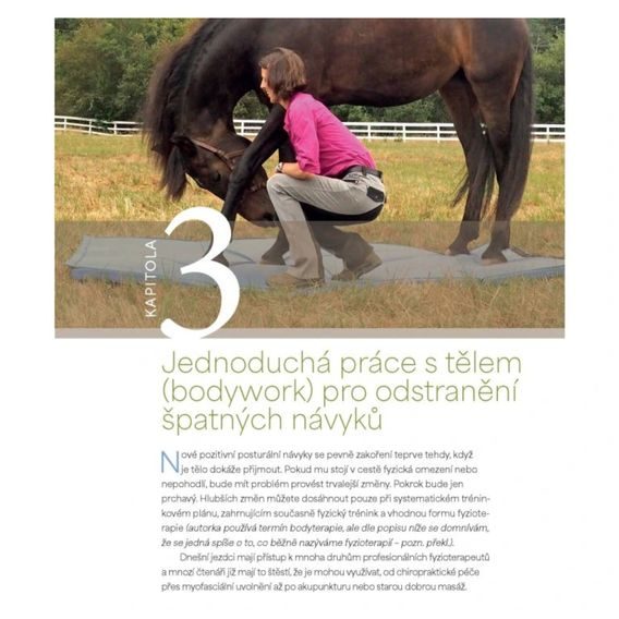 Publ Ballou Korektivní cvičení pro koně