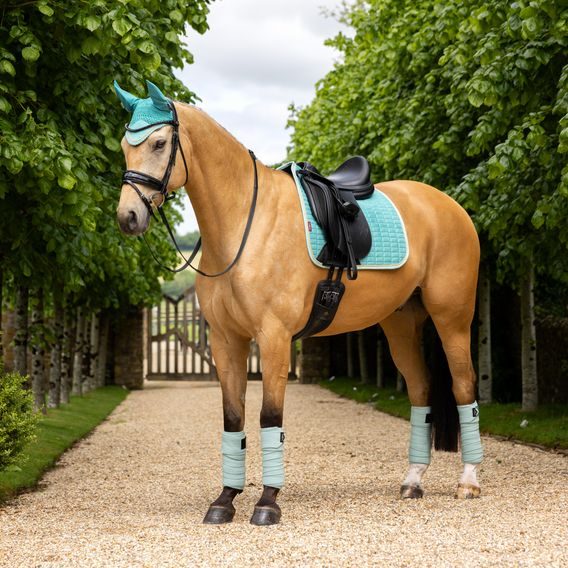 Podsedlová dečka LeMieux Suede Square Lagoon Kolekce 2025