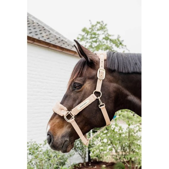 Ohlávka Kentucky Teddy Fleece