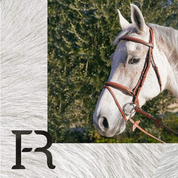 Uzdečka Renaissance English 4E153 DOPRODEJ