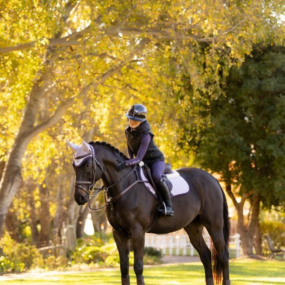 Podsedlová dečka LeMieux Merino+Suede Square Kolekce 2025/26