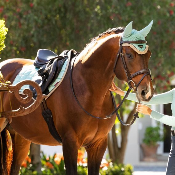 Podsedlová dečka LeMieux Loire Satin Aqua Kolekce 2025