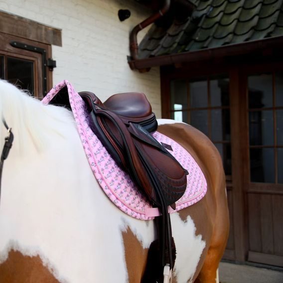 Podsedlová dečka Kentucky Sammy Kolekce 2025