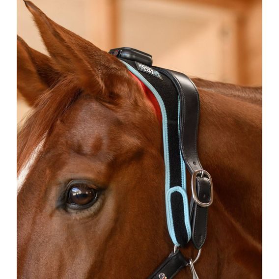 Waldhausen Health + Care Infrared FlexPad