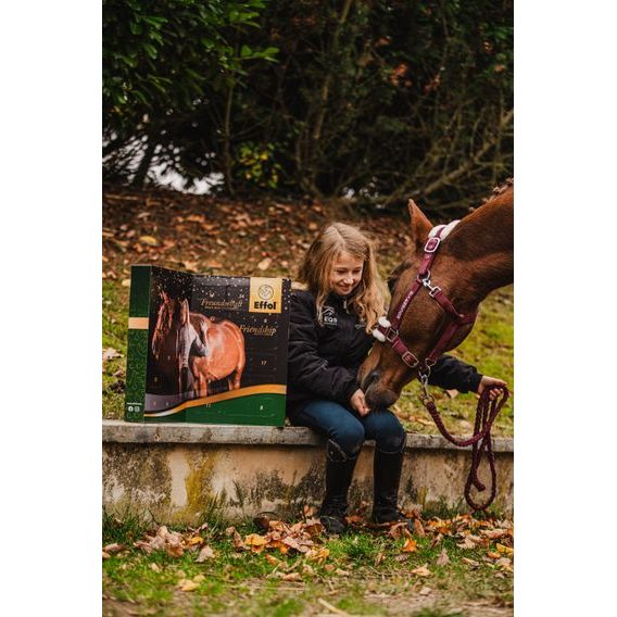 Adventní kalendář Effol