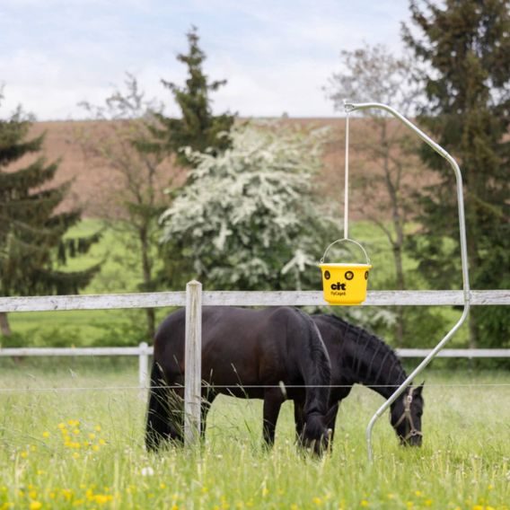 Lapač hmyzu včetně návnady Kerbl Cit Flycage 6