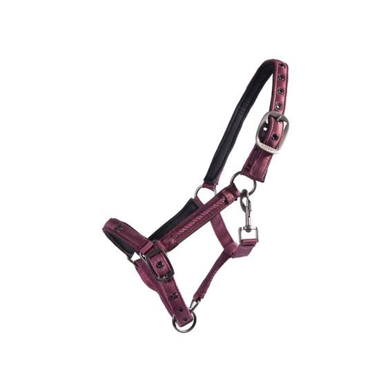 Ohlávka hříběcí QHP Lily