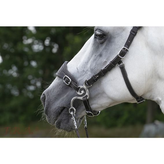 Uzdečka s hackamore F.R.A. Fiore