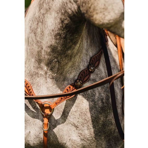 *W* Uzdečka přes jedno ucho a poprsník Cassini Annie