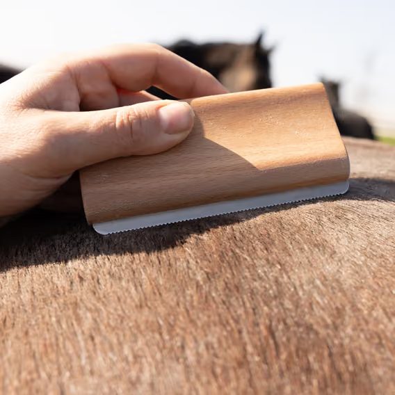 Odstraňovač chlupů Grooming Deluxe Easy brush
