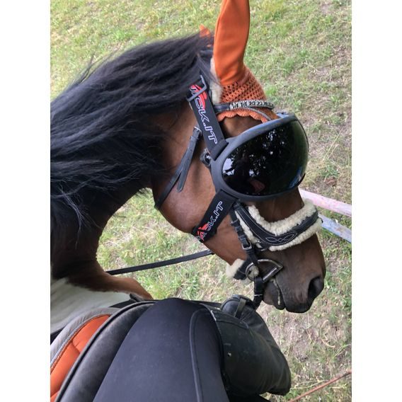 Ochrana očí Equick eVysor