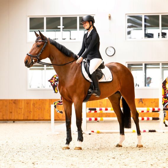 Uzdečka PresTeq FaySport Classic