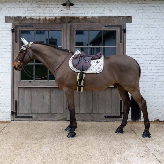 Podsedlová dečka Kentucky Velvet Horse Printing