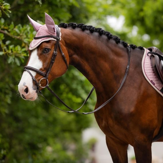 Čabraka na uši LeMieux Classic Blossom Kolekce 2025