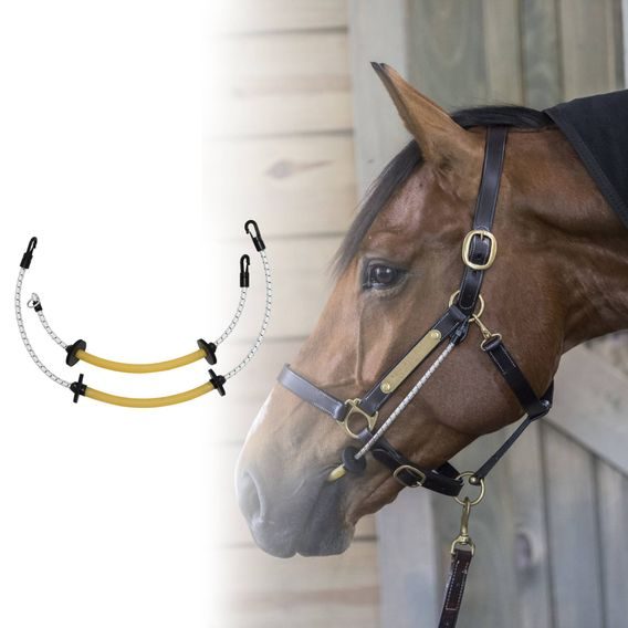 ThinLine Bussy/Buddy