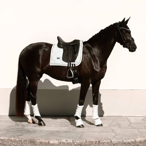 Podsedlová dečka Equestrian Stockholm Crystal White Glimmer