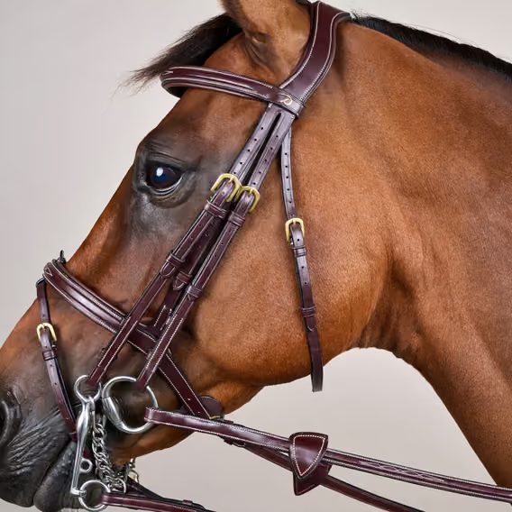 Uzda Dy'on Flash Noseband Double DYLAAA