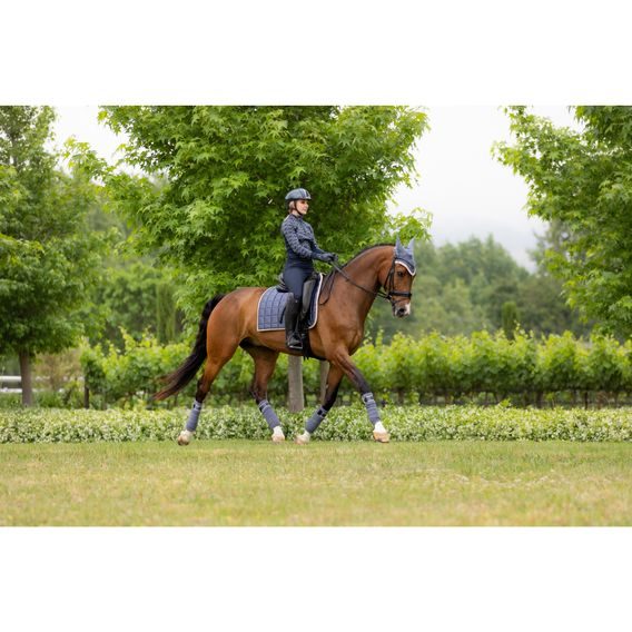 Podsedlová dečka LeMieux Loire Classic Jay Blue KOLEKCE 2024