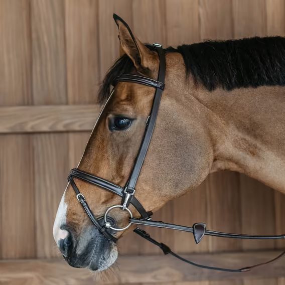 Uzdečka Dy'on Training Bridle WOXXII