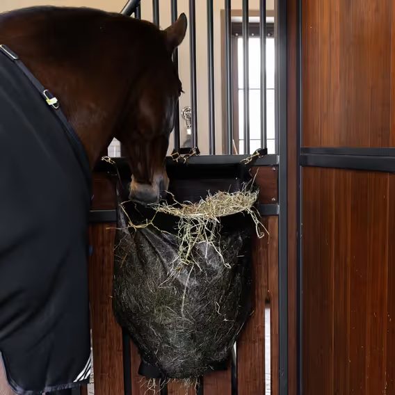 Vak na seno Kentucky