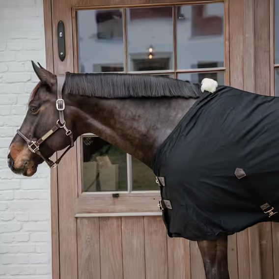 Deka lehká stájová Kentucky Cotton Sheet