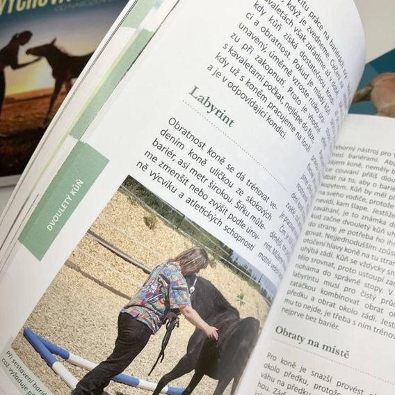 Publ Ettl Výchova hříběte - od narození do tří let