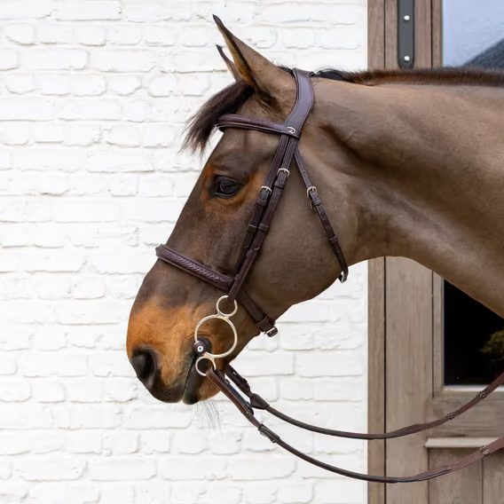 Pessoa Velari by Kentucky Tongue Port Hard 20mm