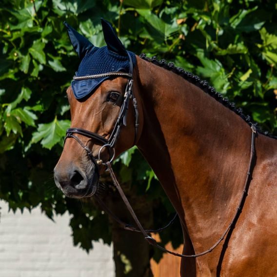 Čabraka na uši Equestrian Stockholm Line Midnight Blue Kolekce 2026