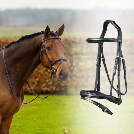 Uzdečka Trust Amsterdam Anatomic a.k.n. DOPRODEJ