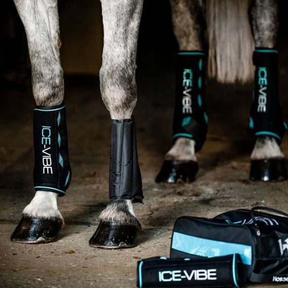 Kamaše Horseware Ice Vibe pár NEW