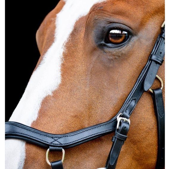 Uzdečka Horseware Micklem 2 Competition