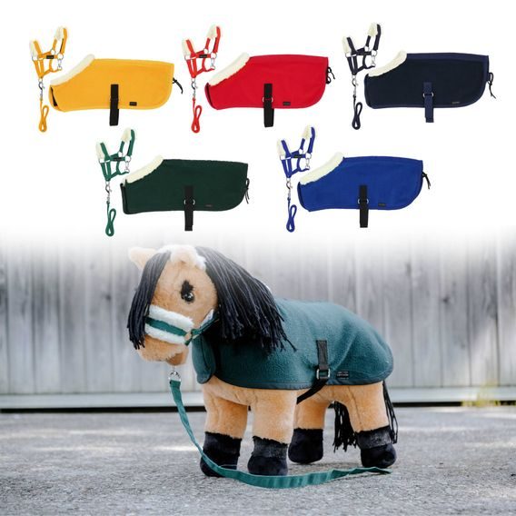 Set ohlávka s vodítkem a deka Pony Academy