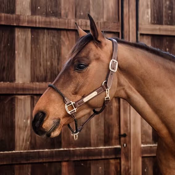 Ohlávka Kentucky kožená s provazovým nánosníkem