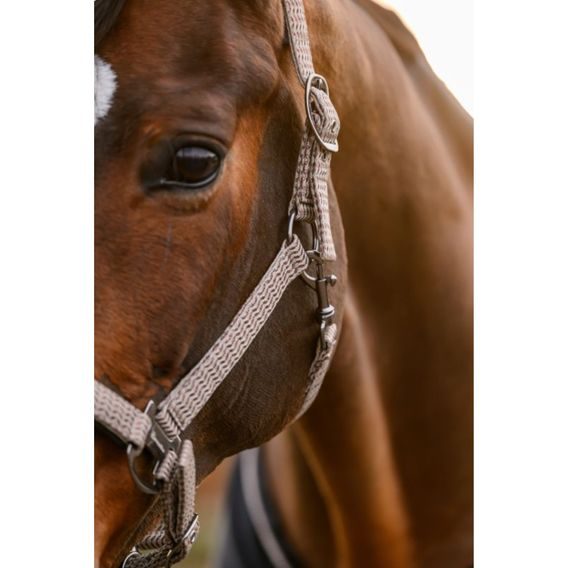 Ohlávka Cavallo Cavalrose Kolekce 2026/27