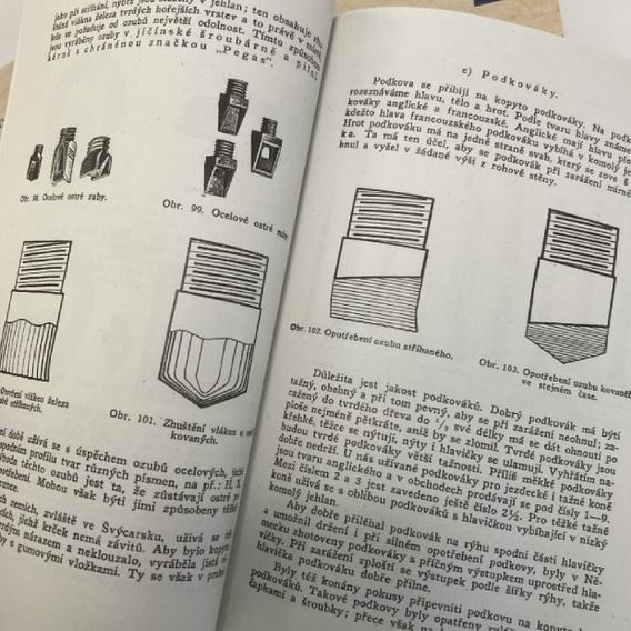 Publ Lechner Kompletní dílo DOPRODEJ