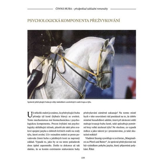 Publ Heuschmann Balanceakt