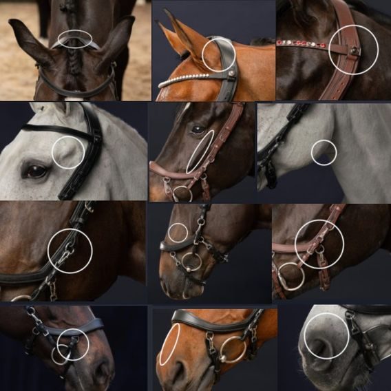 Uzdečka PresTeq FaySport anatomická