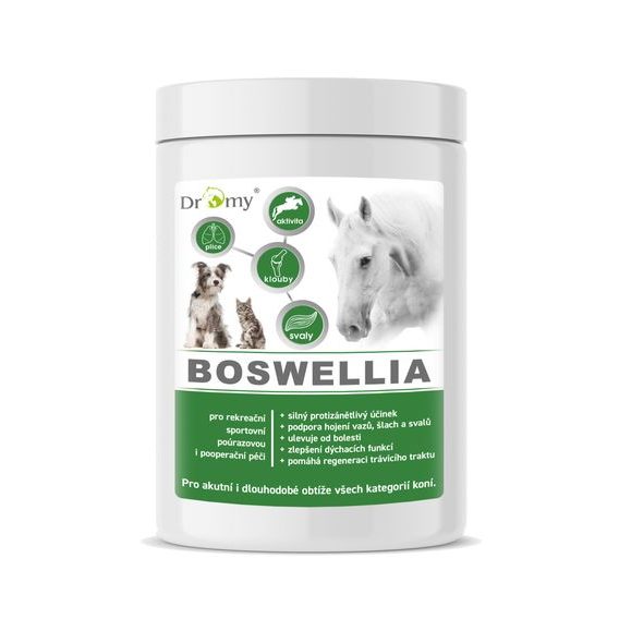 Dromy BOSWELLIA FORTE 750 g