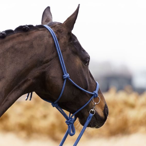 Ohlávka provazová Imperial Riding Free Ride s otěžemi