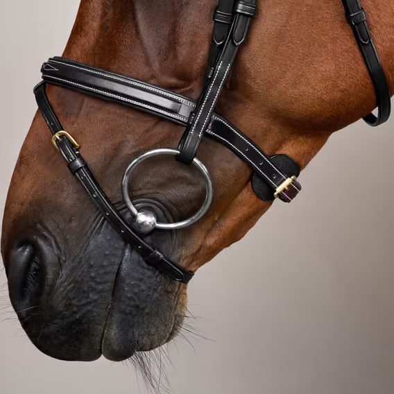 Uzdečka Dy'on Flash Noseband Bridle DY-10002