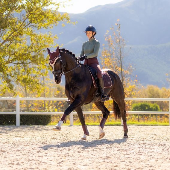 Podsedlová dečka LeMieux Loire Classic Damson Kolekce 2025/26