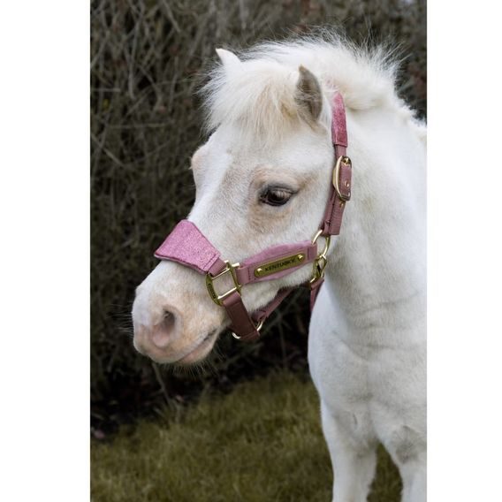 Ohlávka Kentucky Velvet Glitter