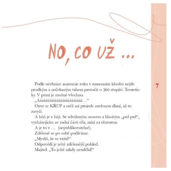 Publ Slavíková Po hlavě do oxeru DOPRODEJ