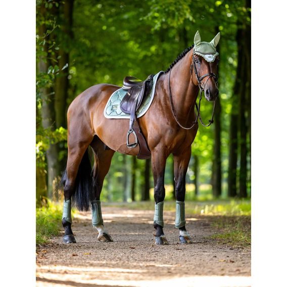 Čabraka na uši Equestrian Stockholm Pistachio White Kolekce 2026