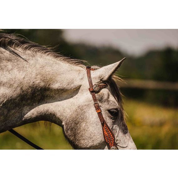 *W* Uzdečka a poprsník Cassini Flowers