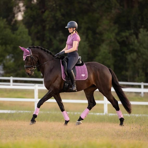 Podsedlová dečka LeMieux Loire Classic Square Kolekce 2026