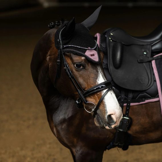 Čabraka na uši Equestrian Stockholm Black Blush Kolekce 2026/27
