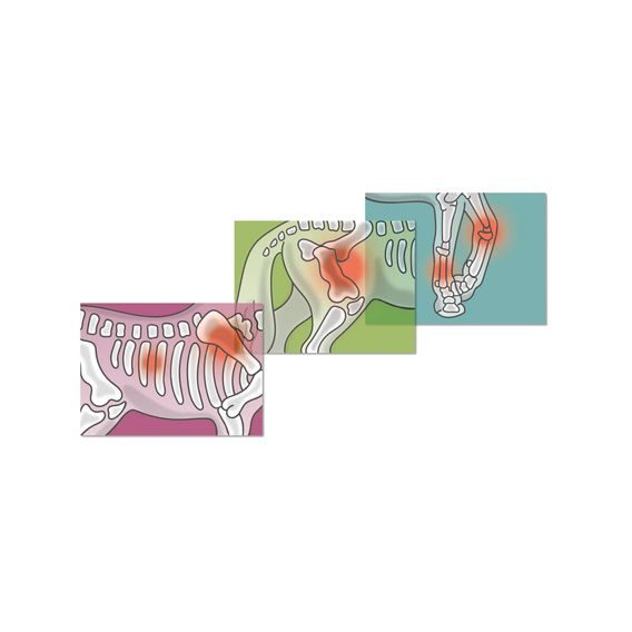 Schleich 42704 - Mobilní veterinář s přívěsem