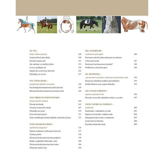 Publ Heuschmann Balanceakt